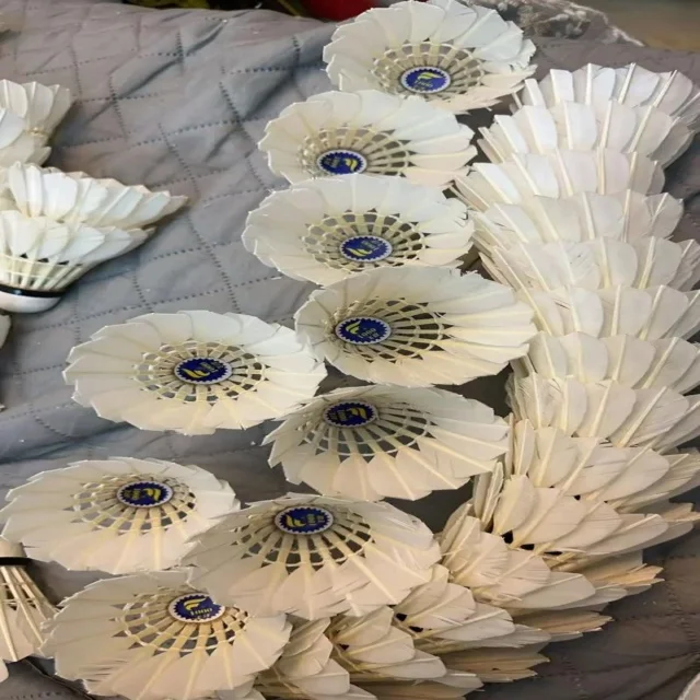 深入解读热门体育赛事背后的制胜关键
